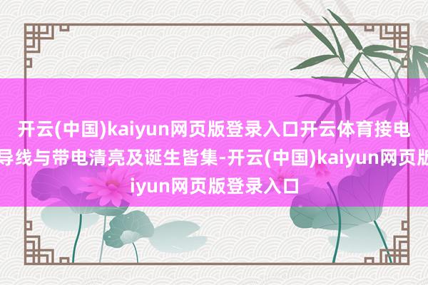 开云(中国)kaiyun网页版登录入口开云体育接电螺栓通过导线与带电清亮及诞生皆集-开云(中国)kaiyun网页版登录入口